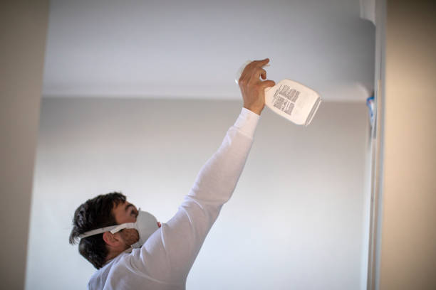 Best Basement Mold Remediation in Sylva, NC
